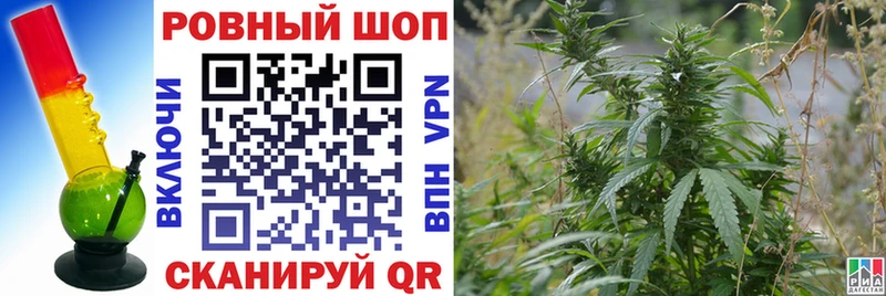 Где найти наркотики Анадырь Каннабис  ОМГ ОМГ маркетплейс  АМФЕТАМИН  ГАШ  A-PVP 