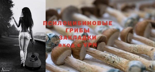 прущая мука Алексеевка