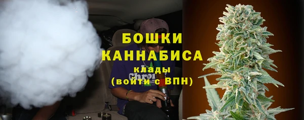 дурь Алзамай