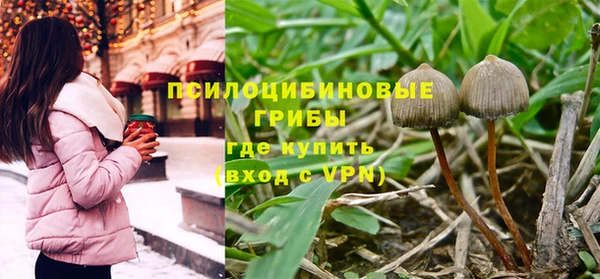 дурь Алзамай