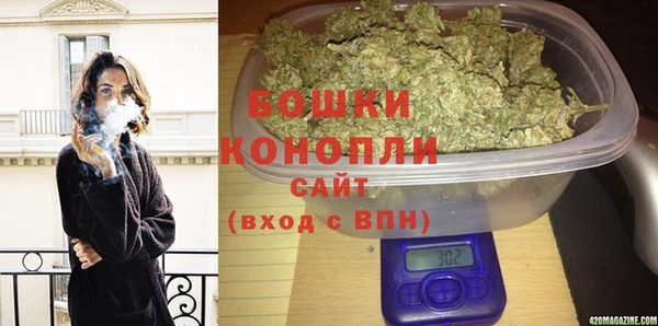 дурь Алзамай