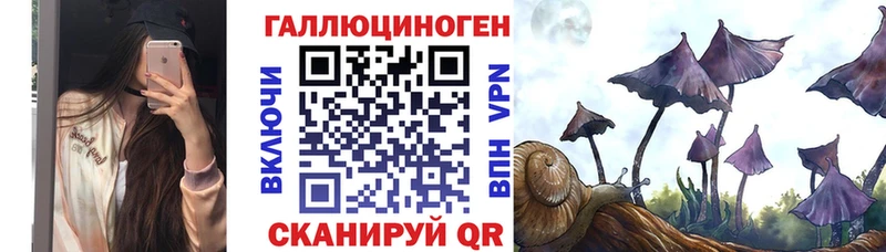 Псилоцибиновые грибы GOLDEN TEACHER МЕГА зеркало Анадырь
